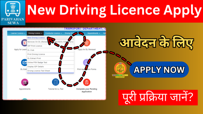 New Driving Licence Apply